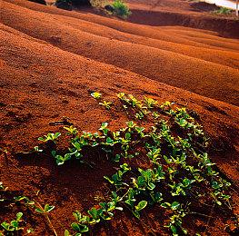 开罗游戏《冲刺！赛车物语》上线steam 支持中文